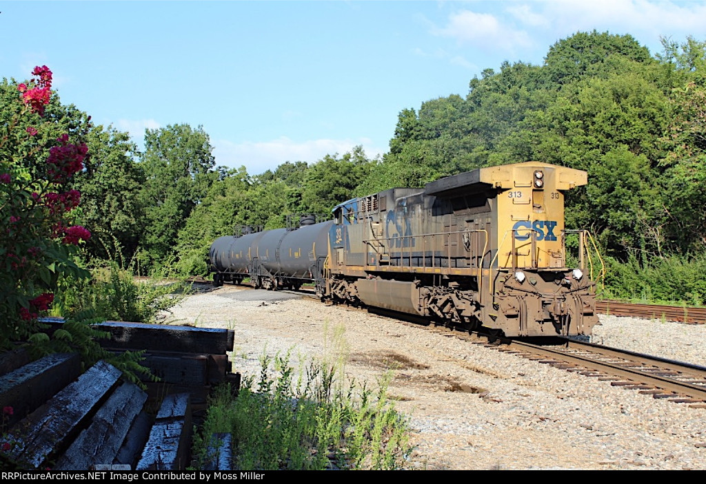 CSX 313